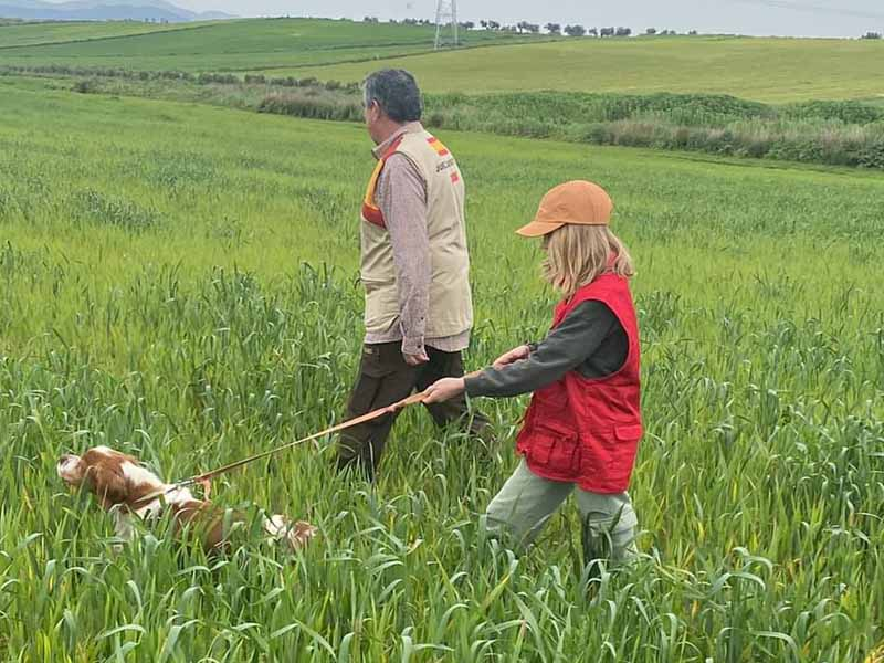 PIKTA DU GOYRE Y TUR DE LOS MANCHONES SE IMPONEN EN EL CAMPEONATO DE ESPAÑA DE PERROS DE MUESTRA 2024