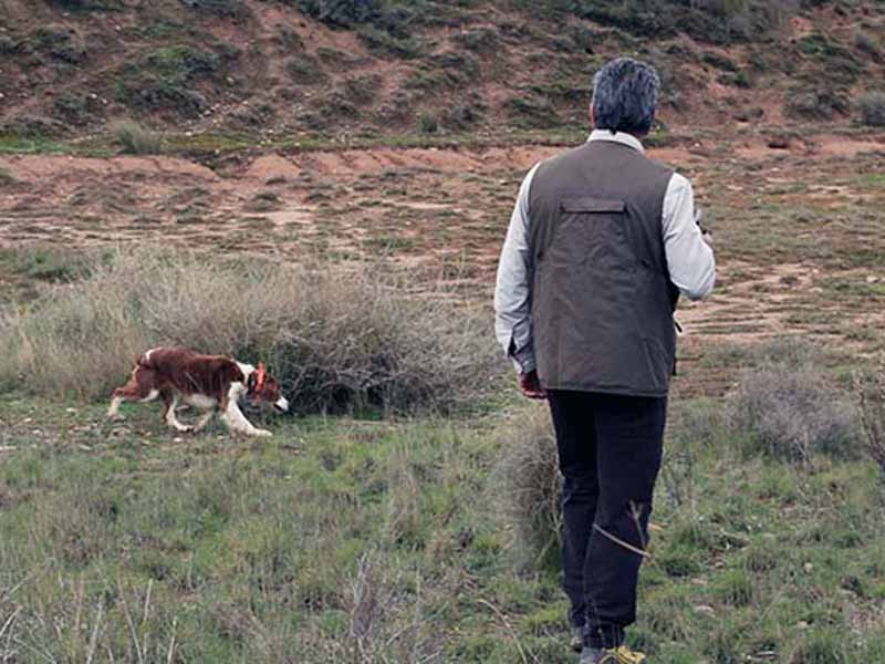 ORDEN DE CAZA EN LA RESERVA REGIONAL DE CAZA DE LA RIOJA