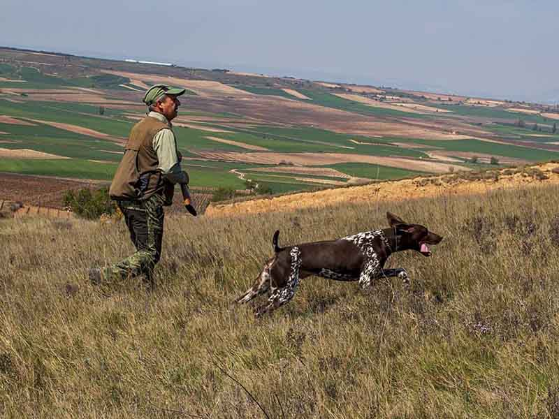 PUBLICADA LA ORDEN ANUAL DE CAZA