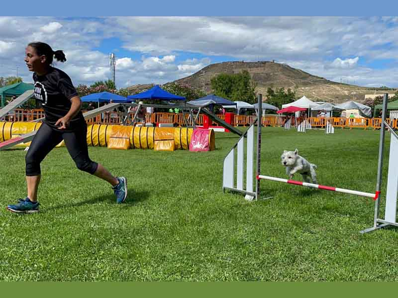 MÁS DE UN CENTENAR DE PARTICIPANTES EN LA SEGUNDA PRUEBA OPEN DE LA LIGA NORTE DE 2024 EN LA RIOJA