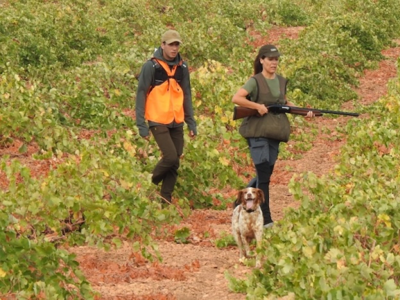 La Escuela Española de Caza impulsa un nuevo seminario de adiestramiento de perros de caza de competición en Soria