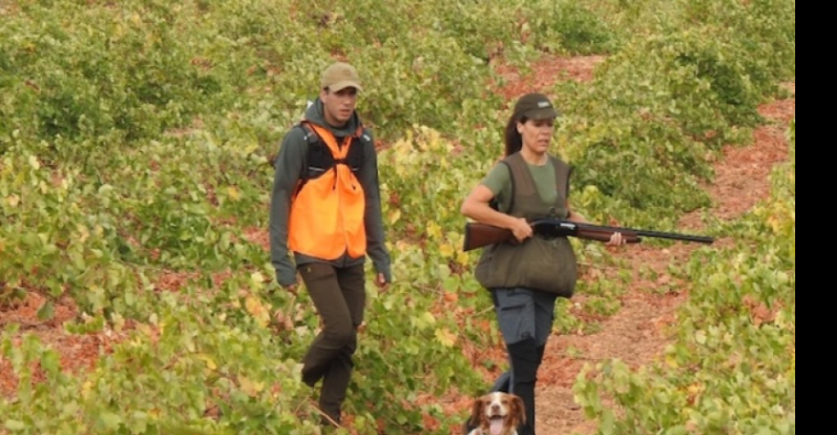 La Escuela Española de Caza impulsa un nuevo seminario de adiestramiento de perros de caza de competición en Soria
