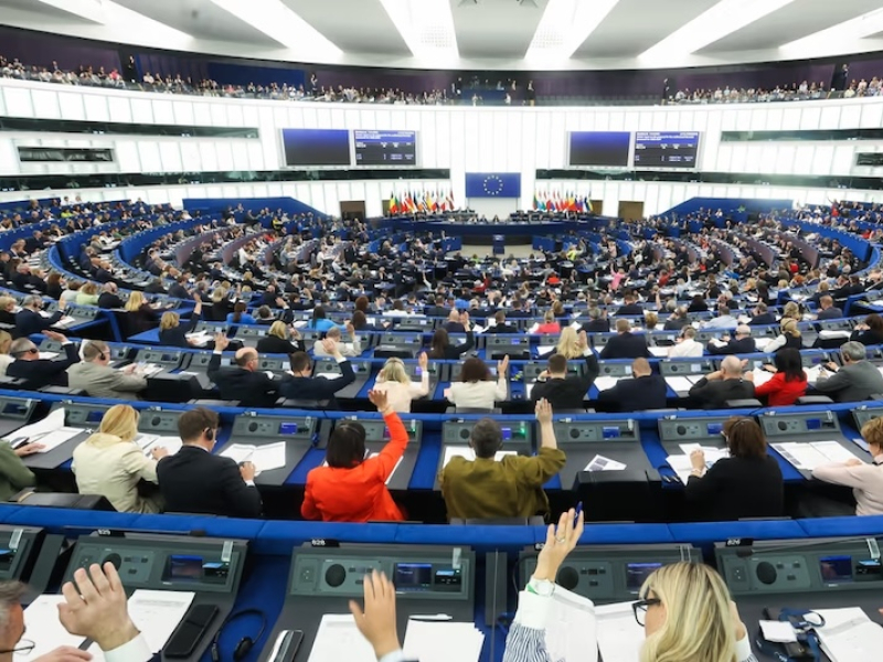 El Parlamento Europeo aprueba un reglamento de trazabilidad de perros y gatos con impacto en el sector cinegético